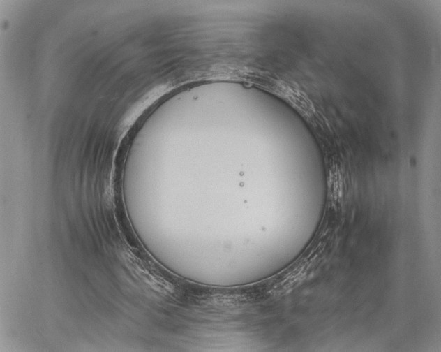 X0000062670292200601041017