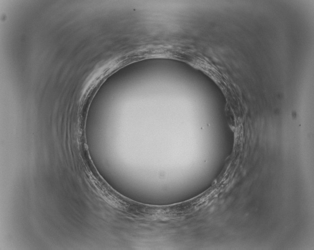 X0000062670293200601041017