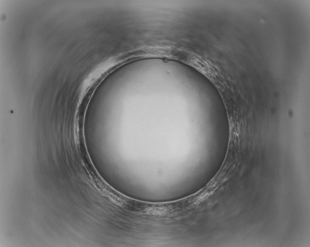 X0000062670294200601041017