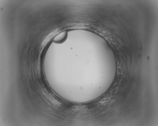 X0000062670296200601041017