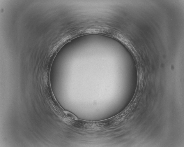 X0000062670297200601041017