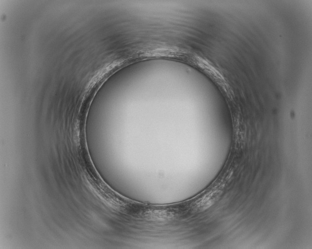 X0000062670298200601041017