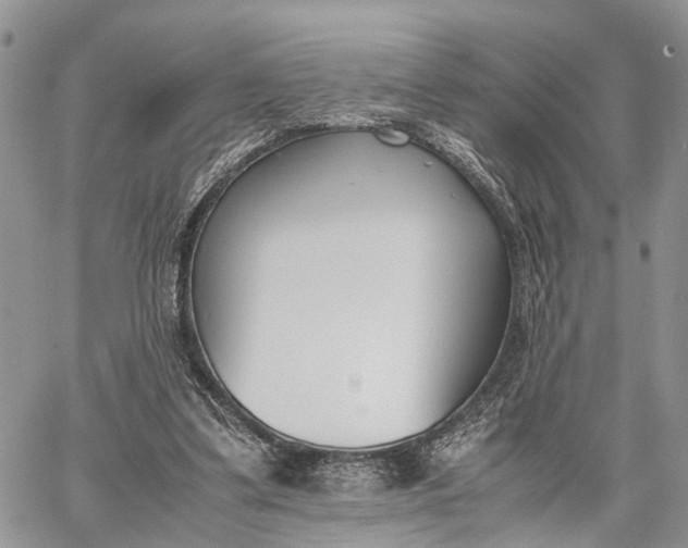 X0000062670299200601041017