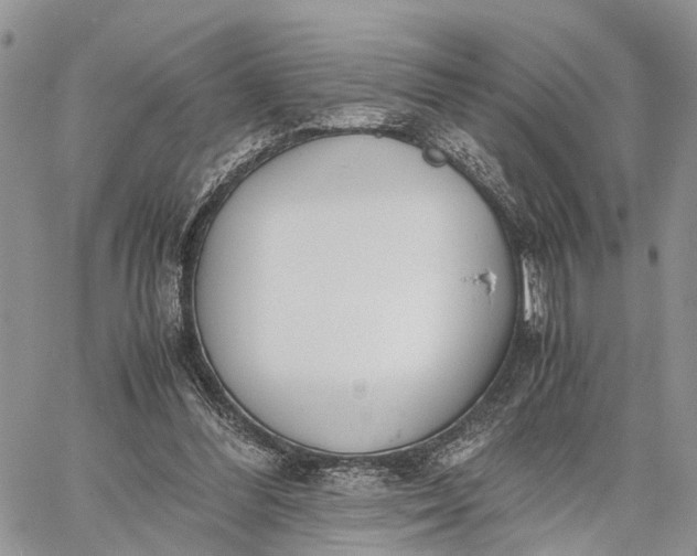 X0000062670300200601041017