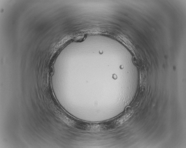 X0000062670301200601041017