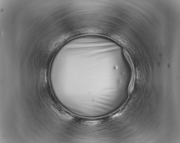 X0000062670302200601041017