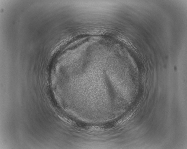 X0000062670303200601041016