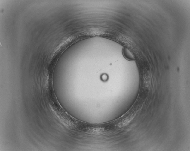 X0000062670304200601041016