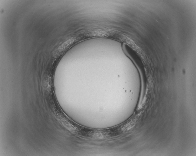 X0000062670305200601041016