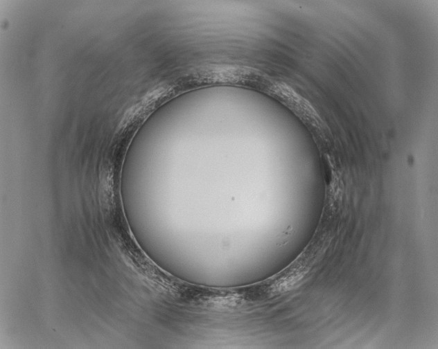 X0000062670306200601041016