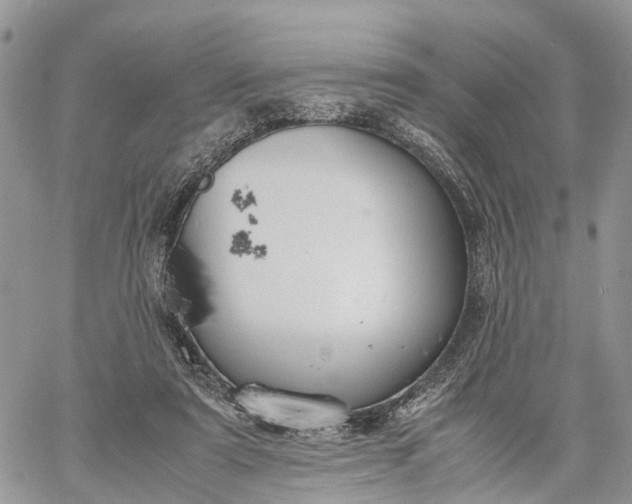 X0000062670307200601041016