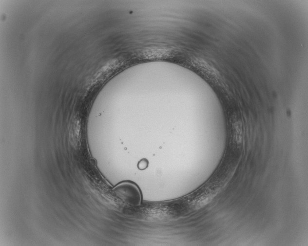 X0000062670308200601041016