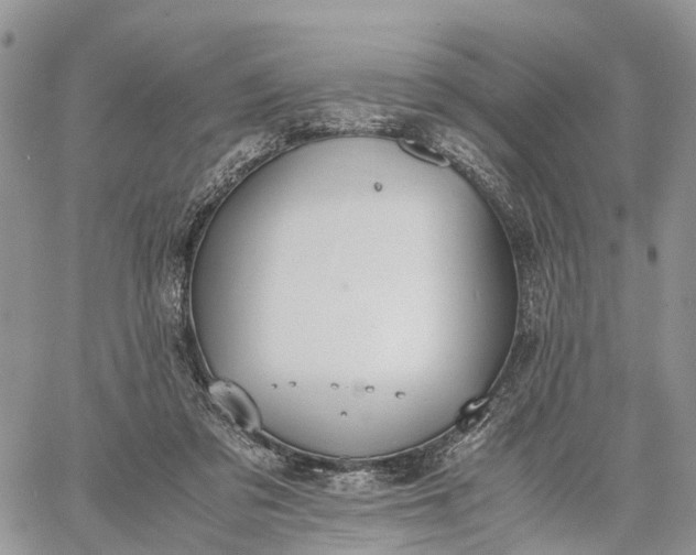 X0000062670309200601041016