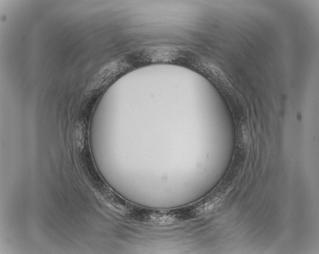 X0000062670311200601041016