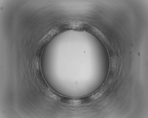 X0000062670313200601041016