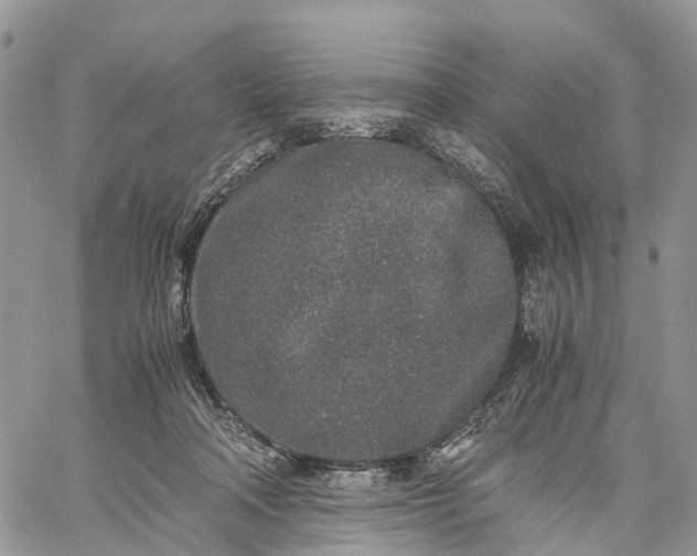 X0000062670314200601041016