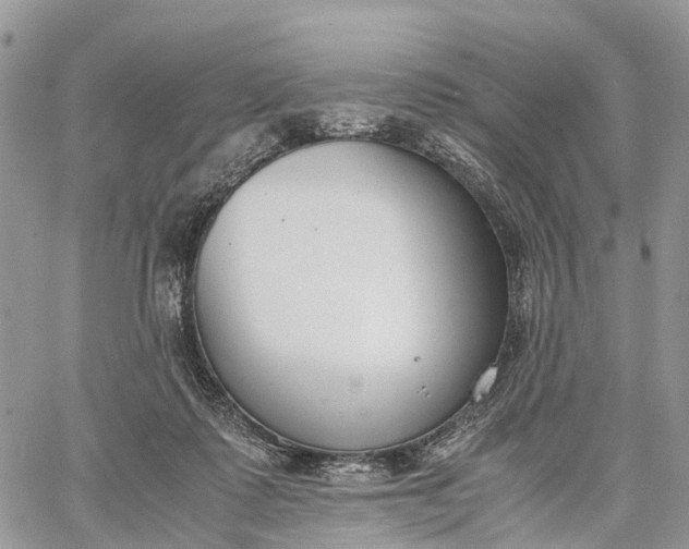 X0000062670315200601041016