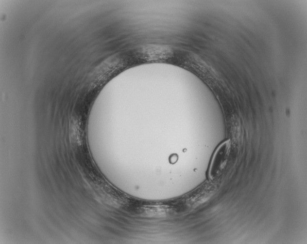 X0000062670316200601041016