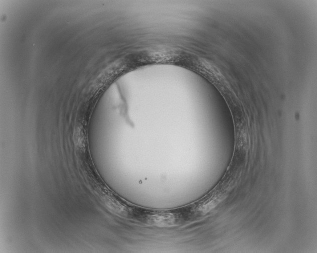 X0000062670317200601041016