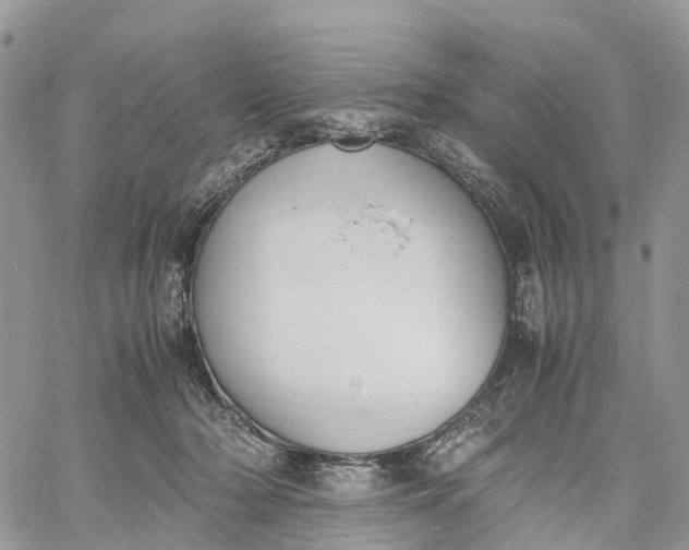 X0000062670318200601041016