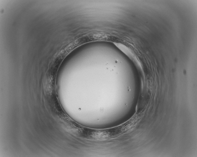 X0000062670319200601041016