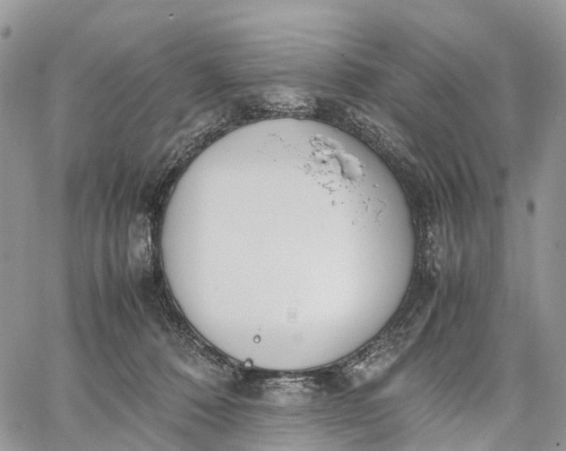 X0000062670320200601041016