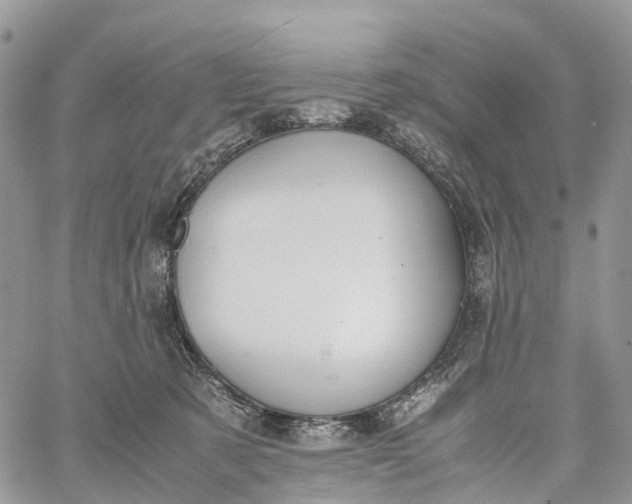 X0000062670321200601041016