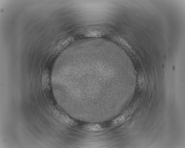 X0000062670322200601041016