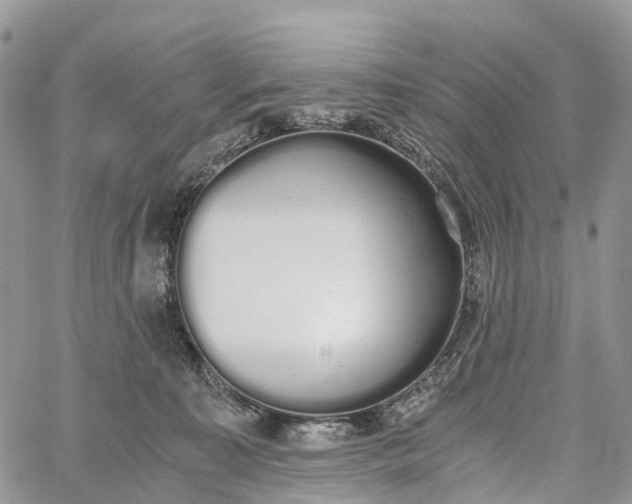 X0000062670323200601041016