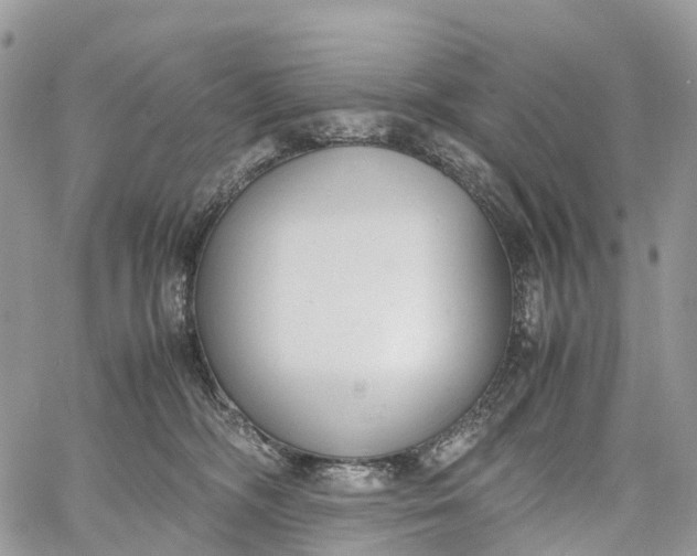 X0000062670326200601041016