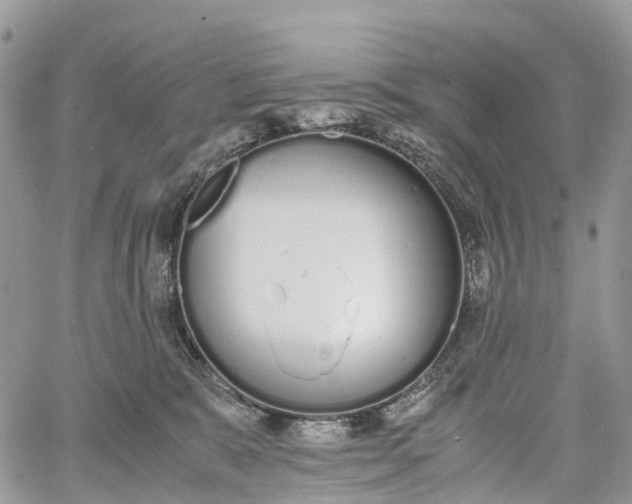 X0000062670327200601041016