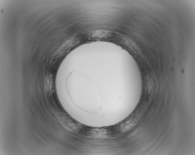 X0000062670328200601041016