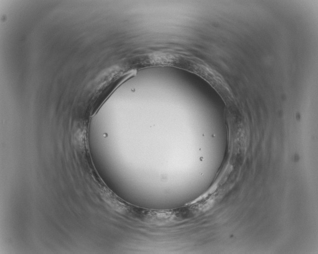 X0000062670329200601041016