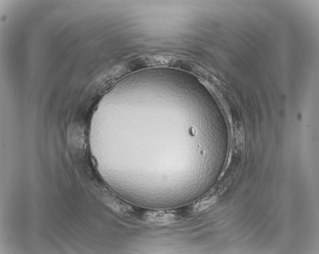 X0000062670331200601041016