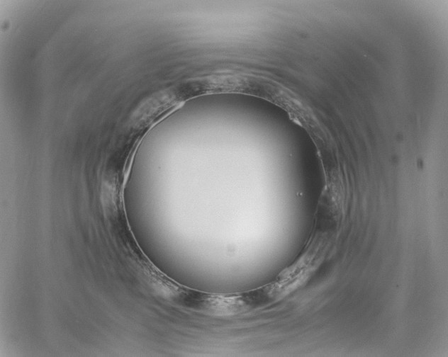 X0000062670333200601041016