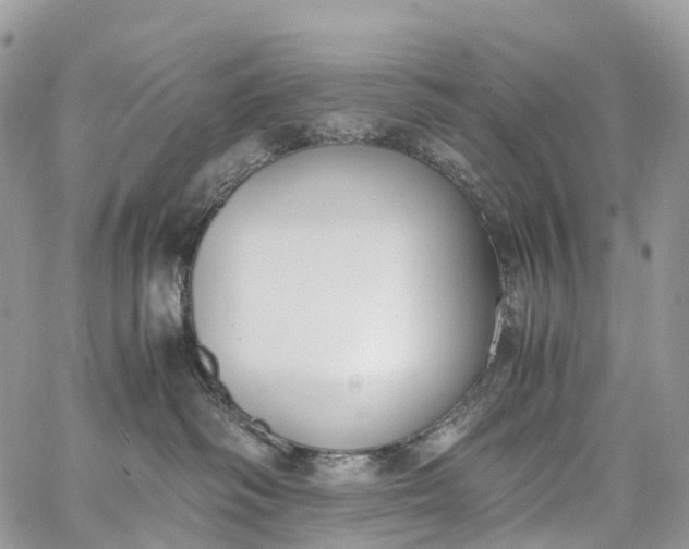 X0000062670334200601041016