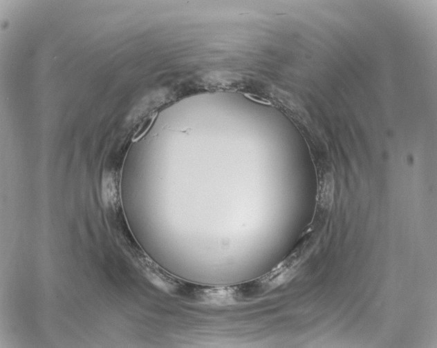 X0000062670335200601041016