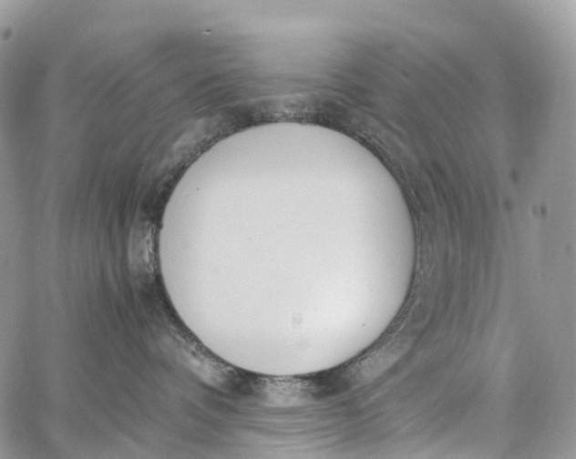 X0000062670336200601041016