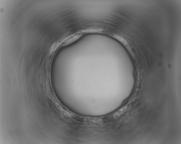 X0000062670337200601041015