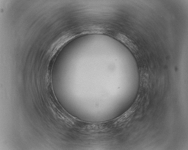 X0000062670338200601041015