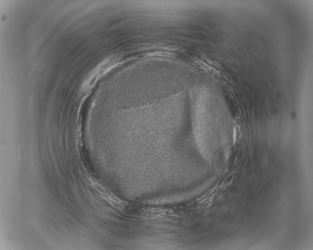 X0000062670339200601041015