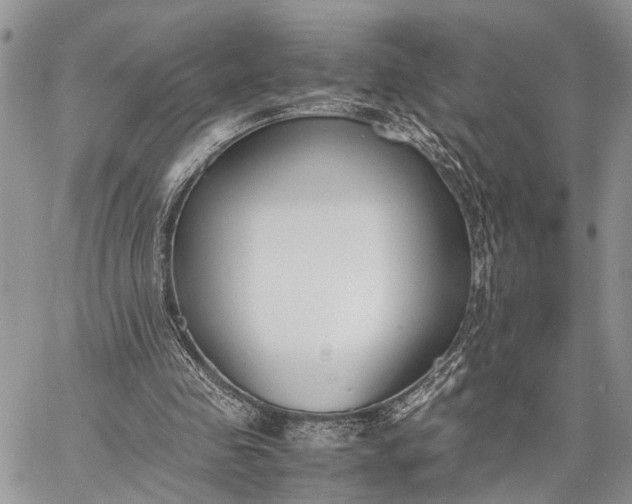 X0000062670341200601041015