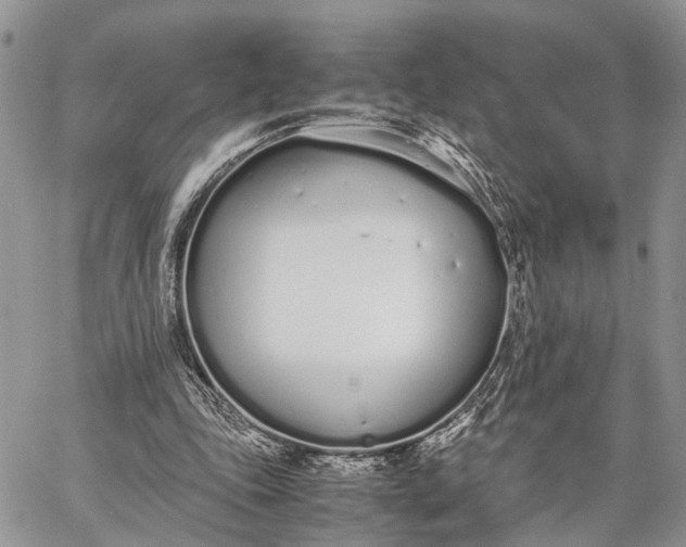 X0000062670343200601041015