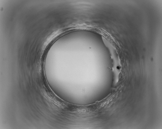 X0000062670344200601041015