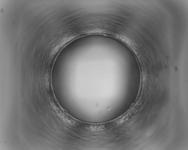 X0000062670345200601041015