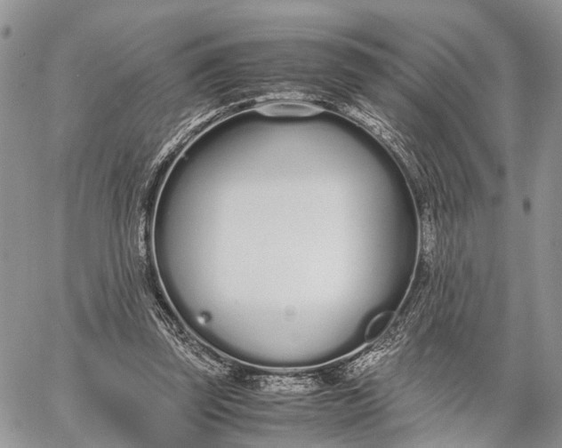 X0000062670347200601041015