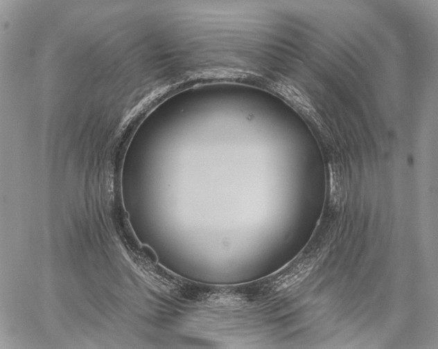 X0000062670348200601041015