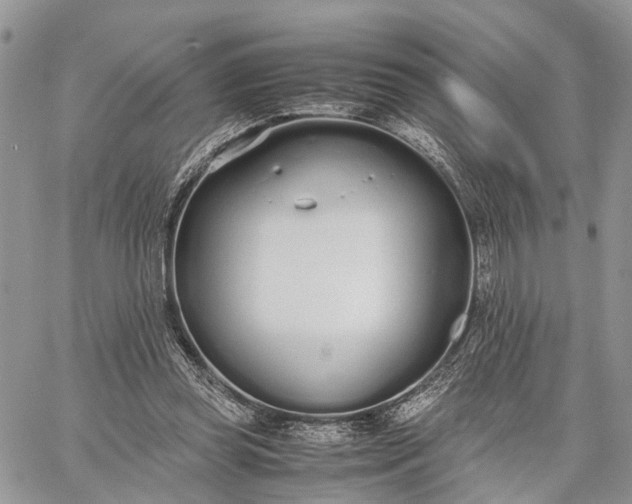 X0000062670349200601041015