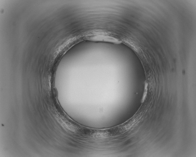 X0000062670350200601041015