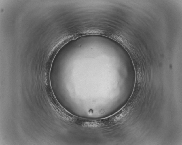 X0000062670351200601041015